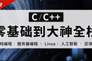 C++正逆向全栈课程（零基础到项目实战）