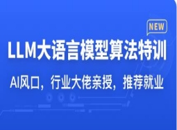 LLM大语言模型算法特训，带你转型AI大语言模型算法工程师(完结)