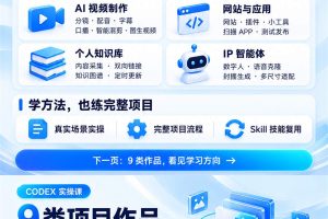 Codex赋能AI一人公司OPC：Skill技能、AI办公、自媒体、短视频、自媒体、电商通关课（完结）